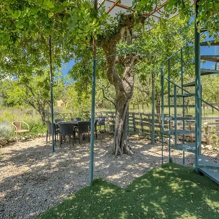 Sa Xabola, 5starshome Mallorca